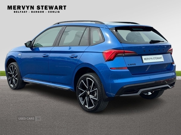 Used Skoda Kamiq 2023 for sale - 78128662: Photo 6