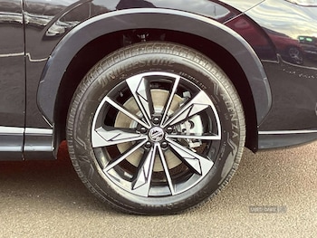 Used MG MG HS 2025 for sale - 79159561: Photo
