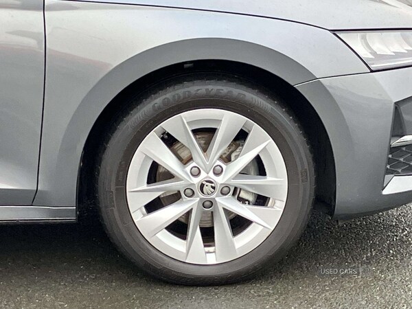 Used Skoda Octavia 2025 for sale - 76825311: Photo 5