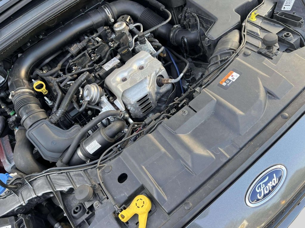 Used Ford Focus 2017 for sale - 78181802: Photo 49