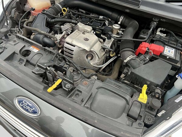 Used Ford Fiesta 2017 for sale - 76291784: Photo 47