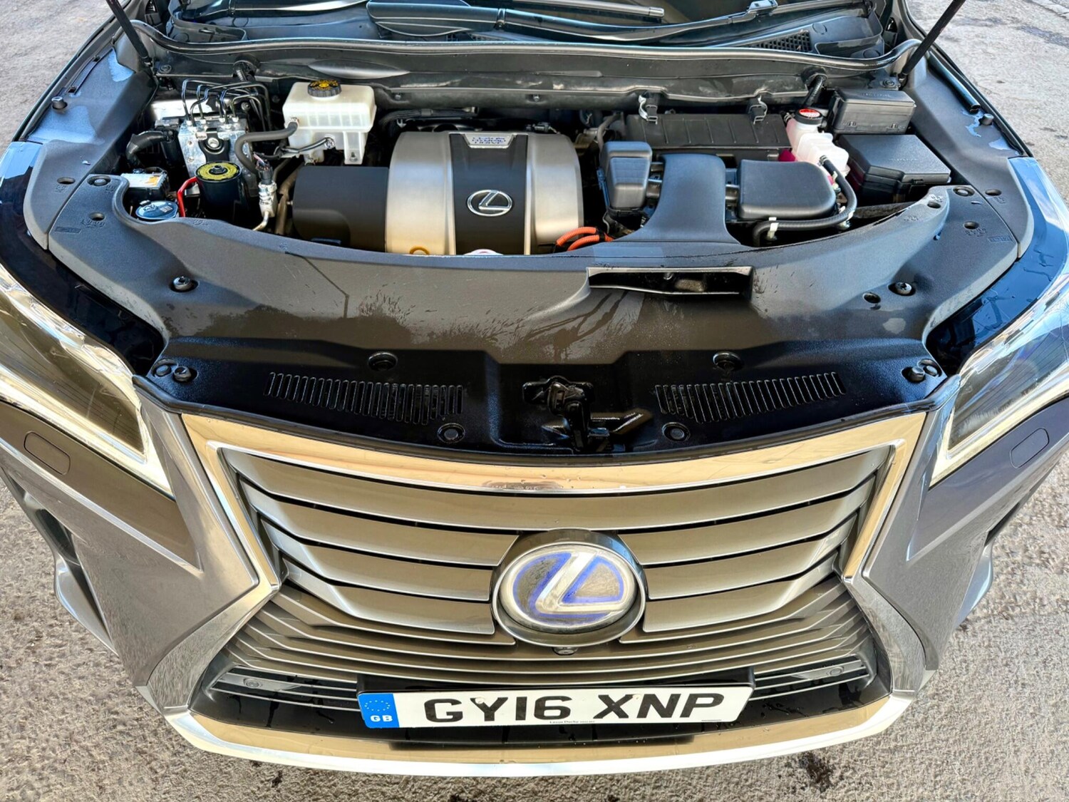 Used Lexus RX 2016 for sale - 77386631: Photo 23