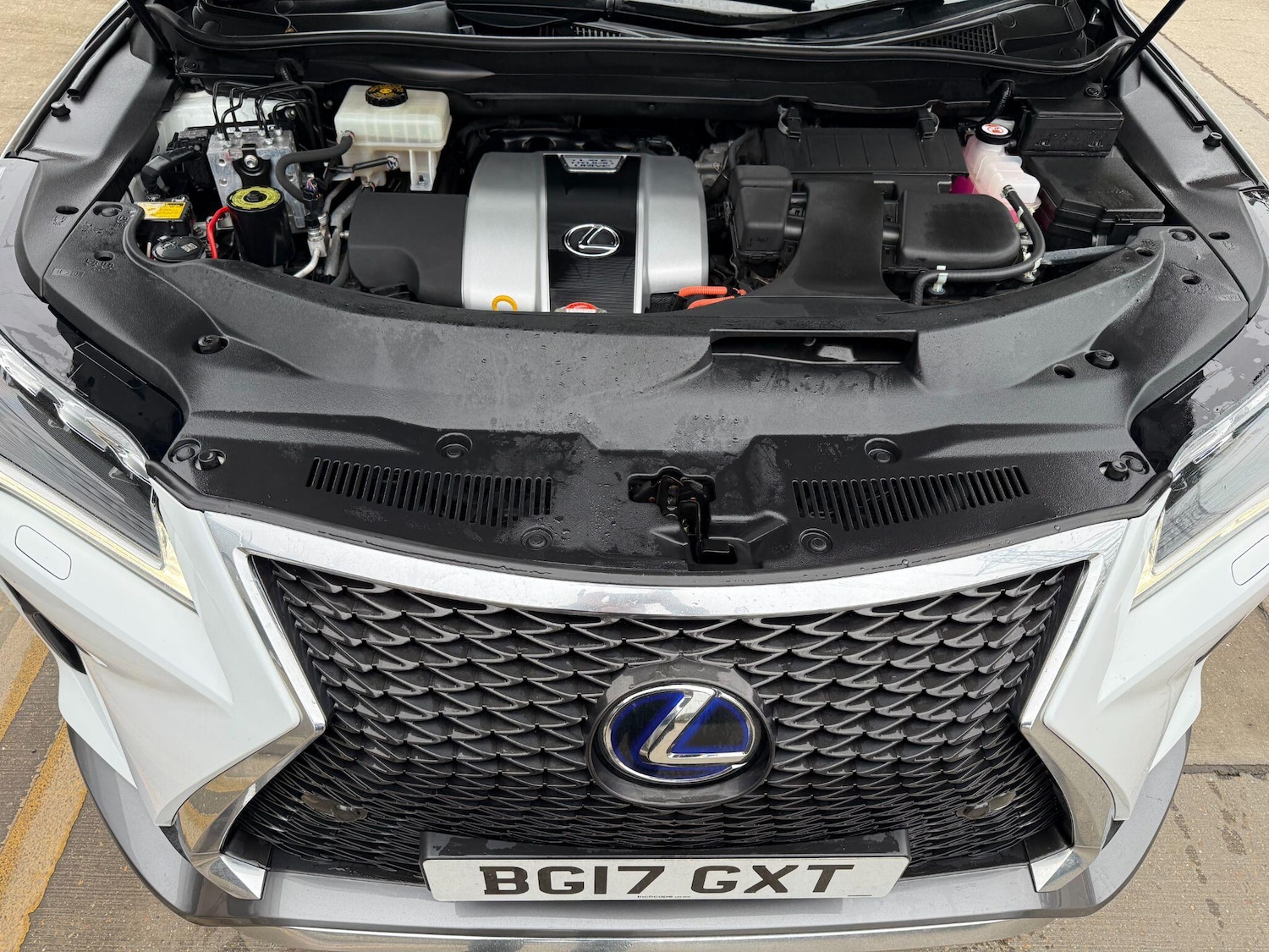 Used Lexus RX 2017 for sale - 77794153: Photo 24