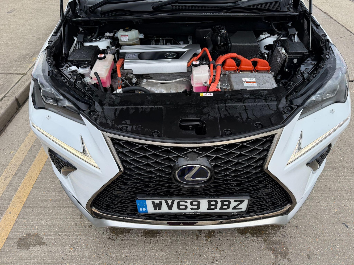 Used Lexus NX 2019 for sale - 77131654: Photo 16