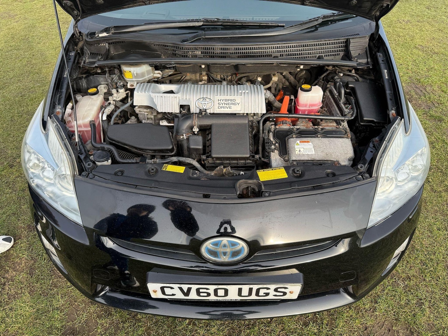 Used Toyota Prius 2010 for sale - 77191719: Photo 15