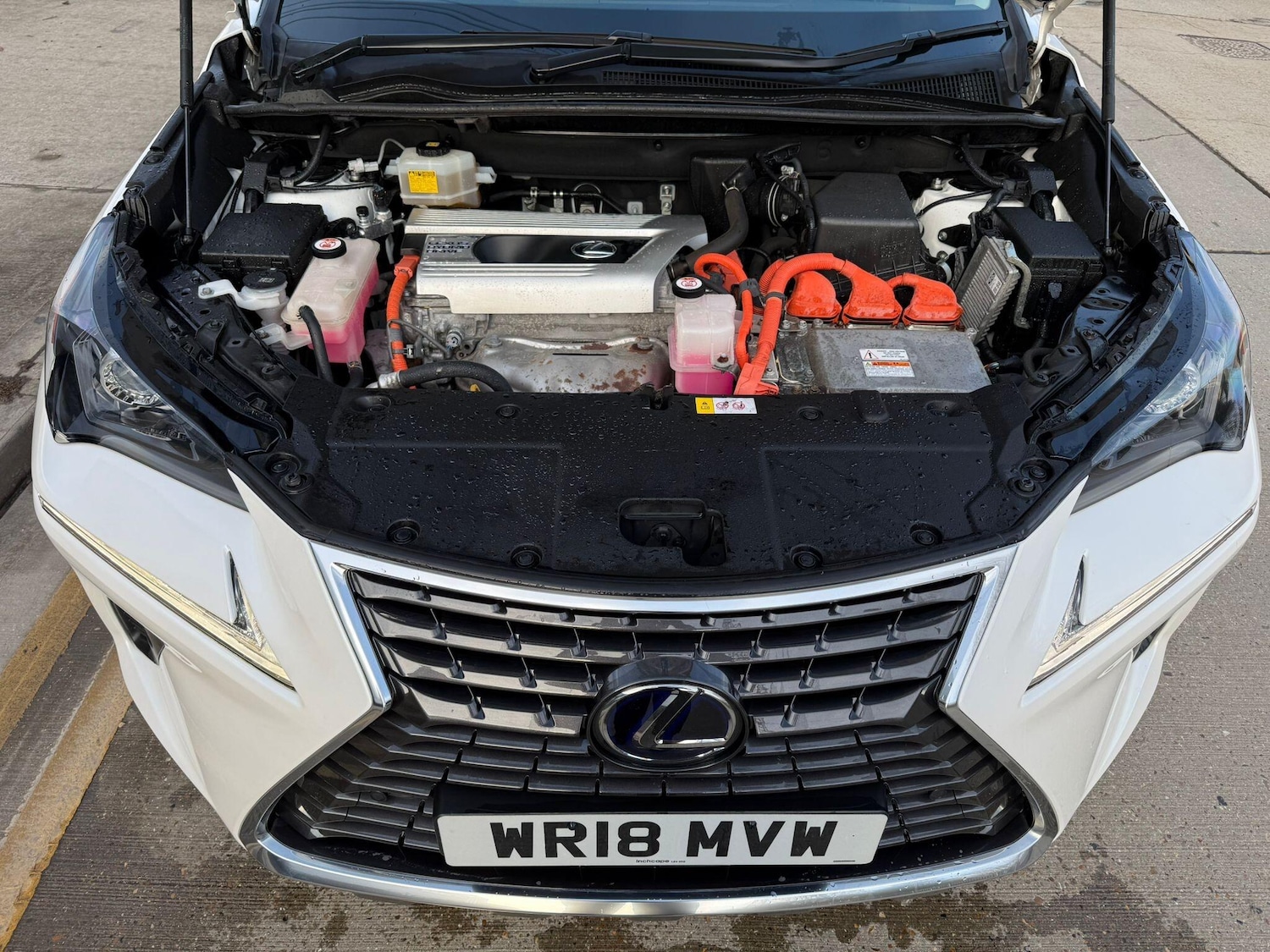 Used Lexus NX 2018 for sale - 77143214: Photo 18