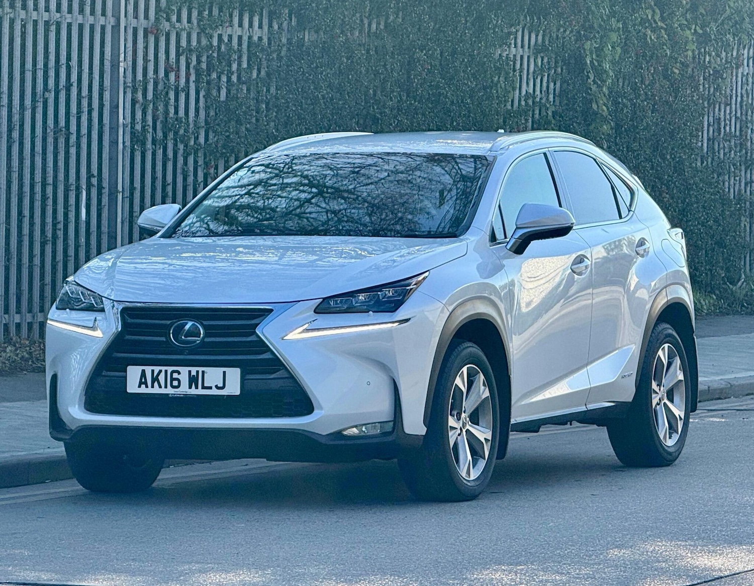 Used Lexus NX 2016 for sale - 76632959: Photo 23
