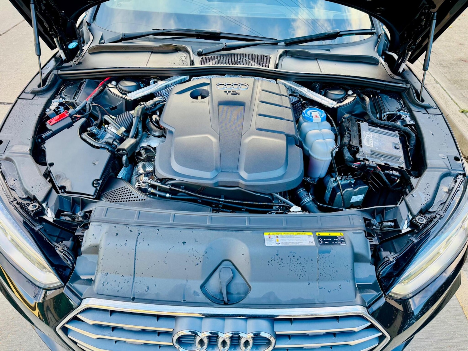 Used Audi A5 for sale - 77737999: Photo 24