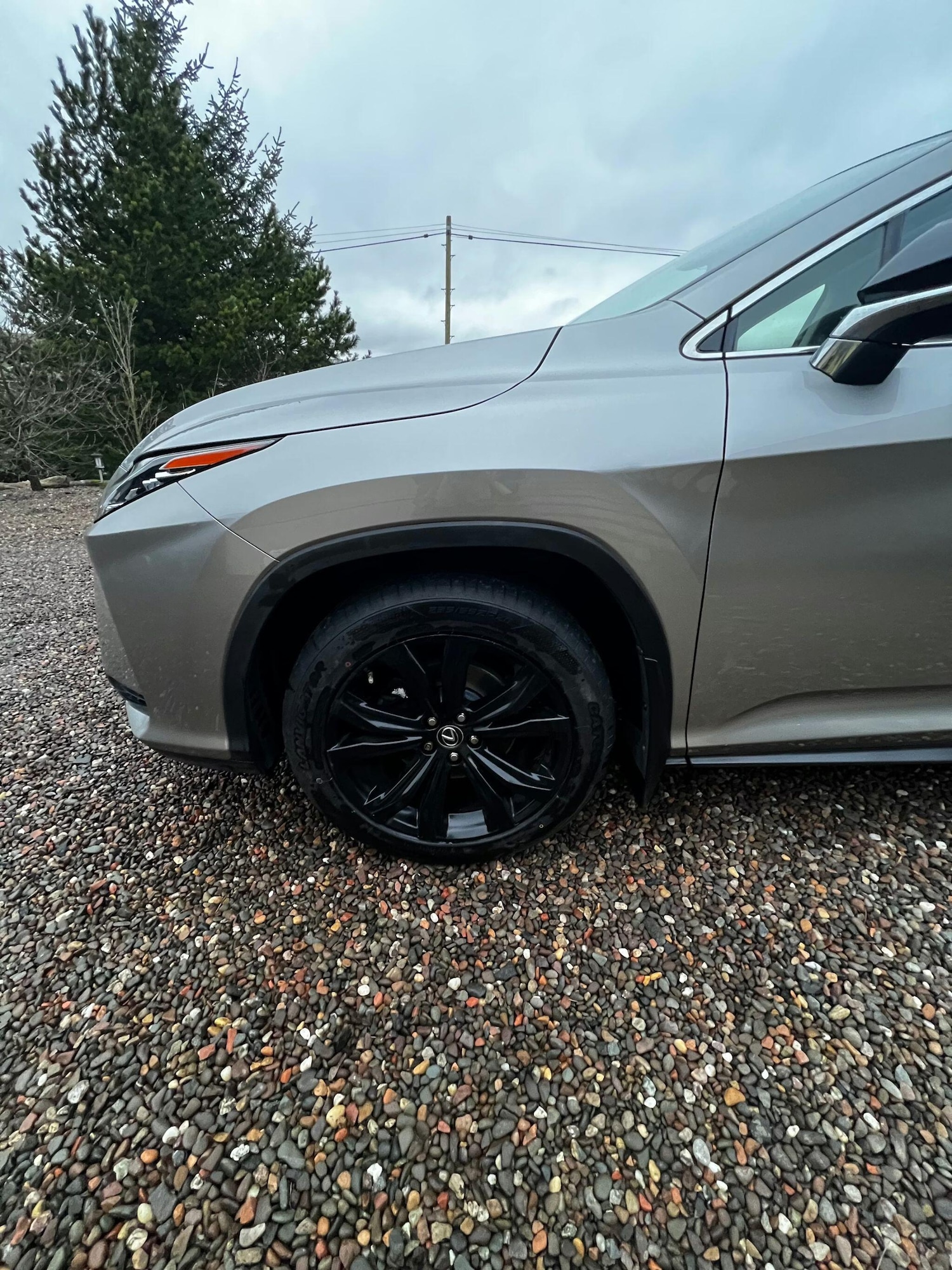 Used Lexus RX 2019 for sale - 77909547: Photo 10