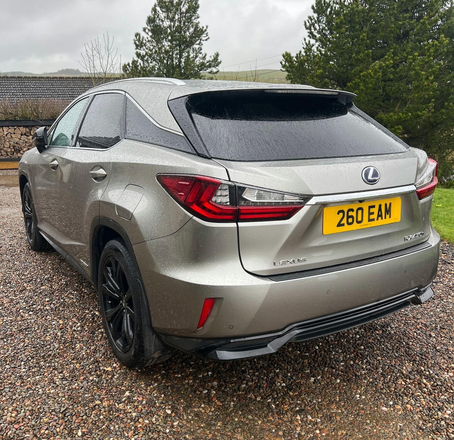 Used Lexus RX 2019 for sale - 77909547: Photo 6