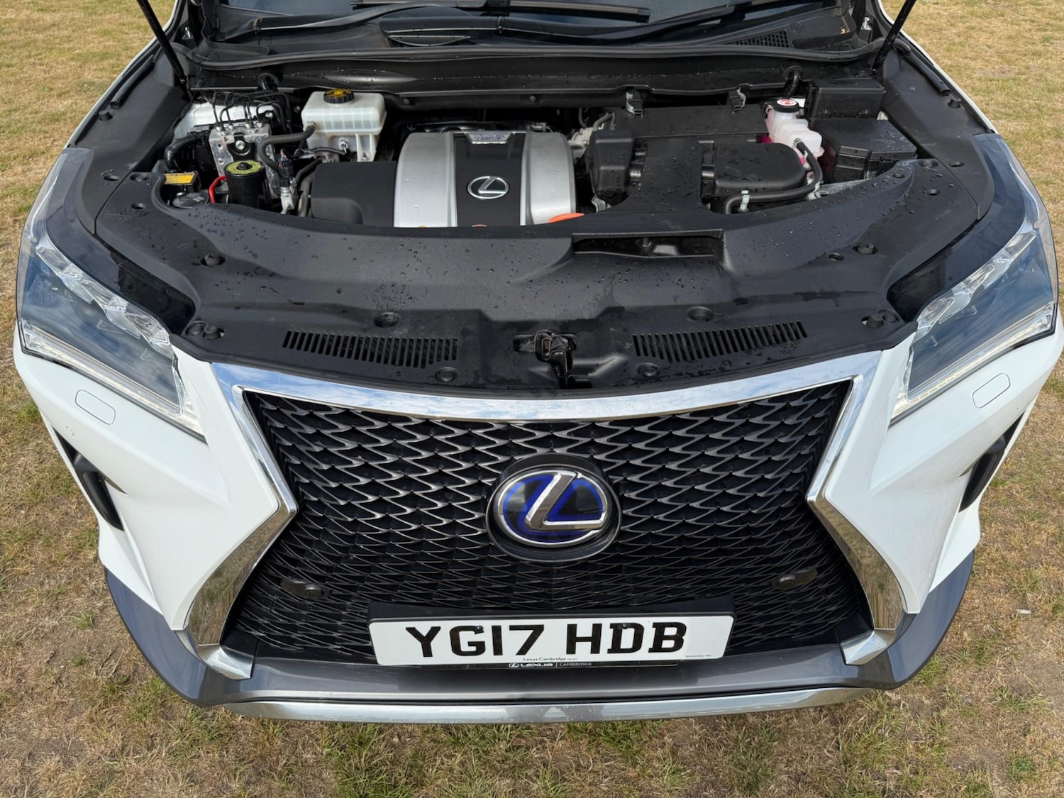 Used Lexus RX 2017 for sale - 76377904: Photo 32