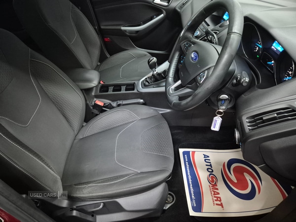 Used Ford Focus 2015 for sale - 77217941: Photo 12