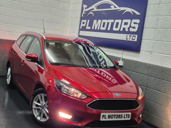 Used Ford Focus 2015 for sale - 77217941: Photo 3