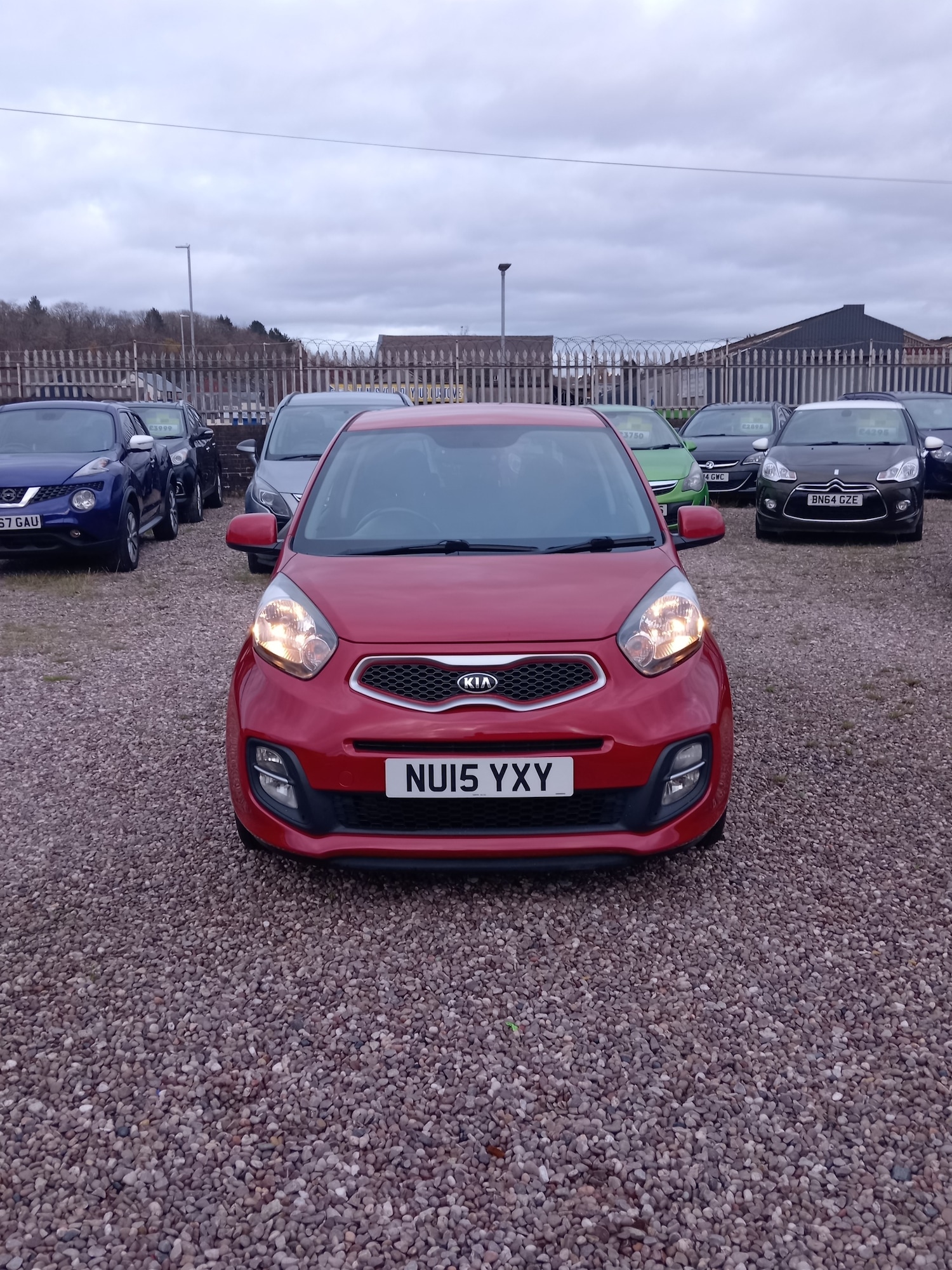 Used Kia Picanto 2015 for sale - 76785304: Photo 4