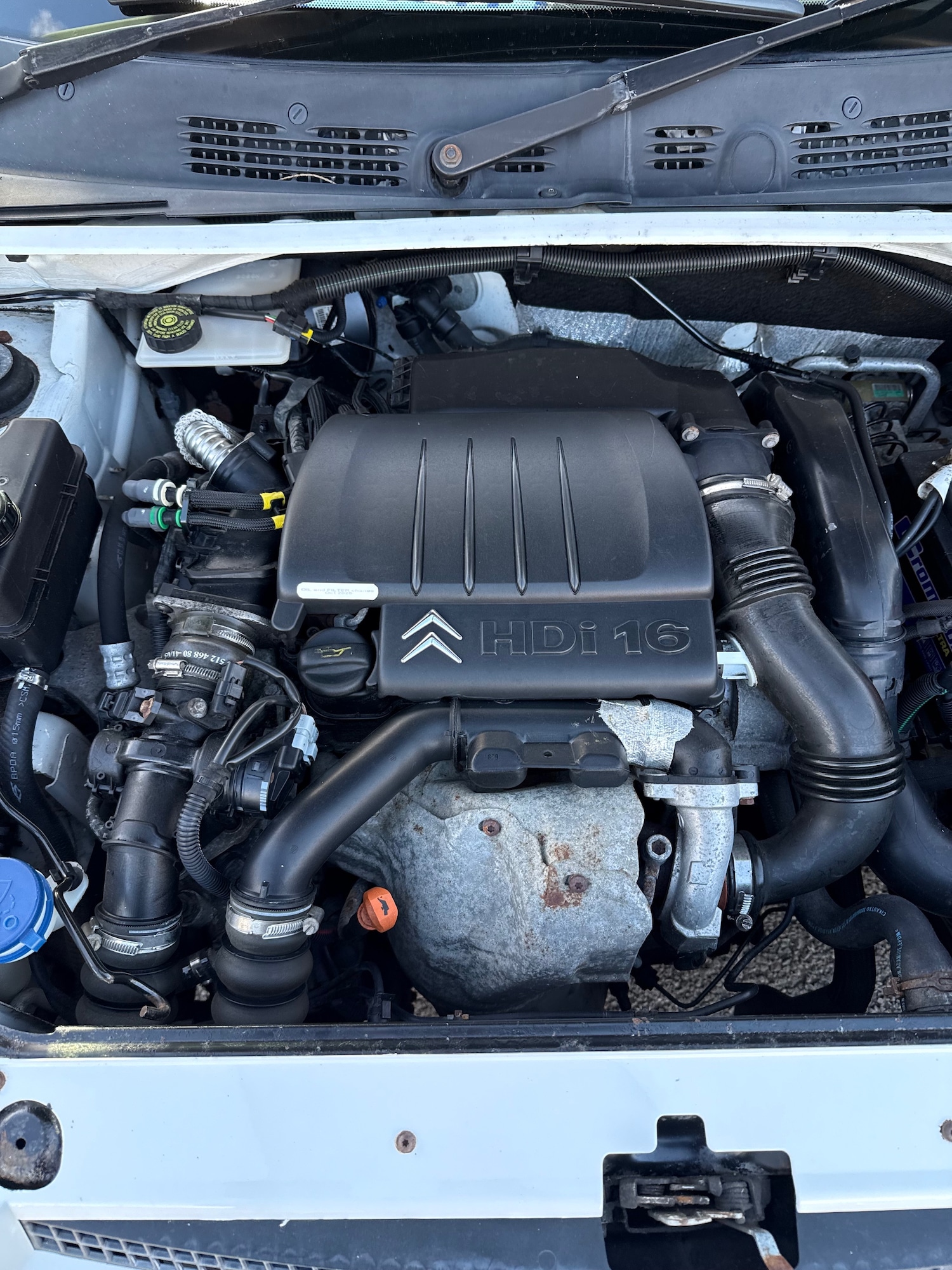 Used Citroen Berlingo Multispace 2025 for sale - 78180429: Photo 15