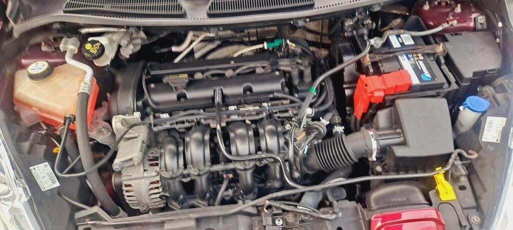 Used Ford Fiesta 2010 for sale - 77735456: Photo 18