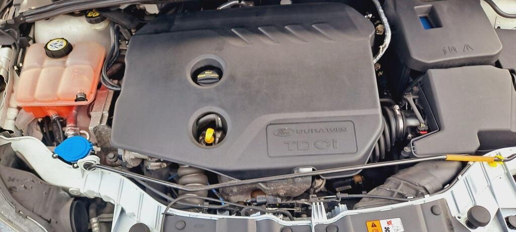 Used Ford Focus 2014 for sale - 77012351: Photo 20