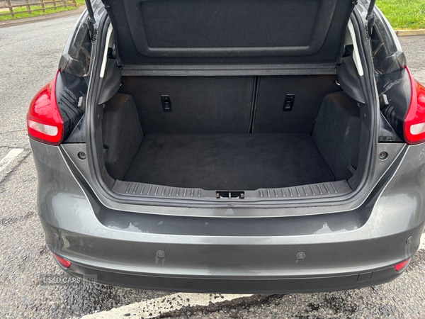 Used Ford Focus 2016 for sale - 77898808: Photo 13