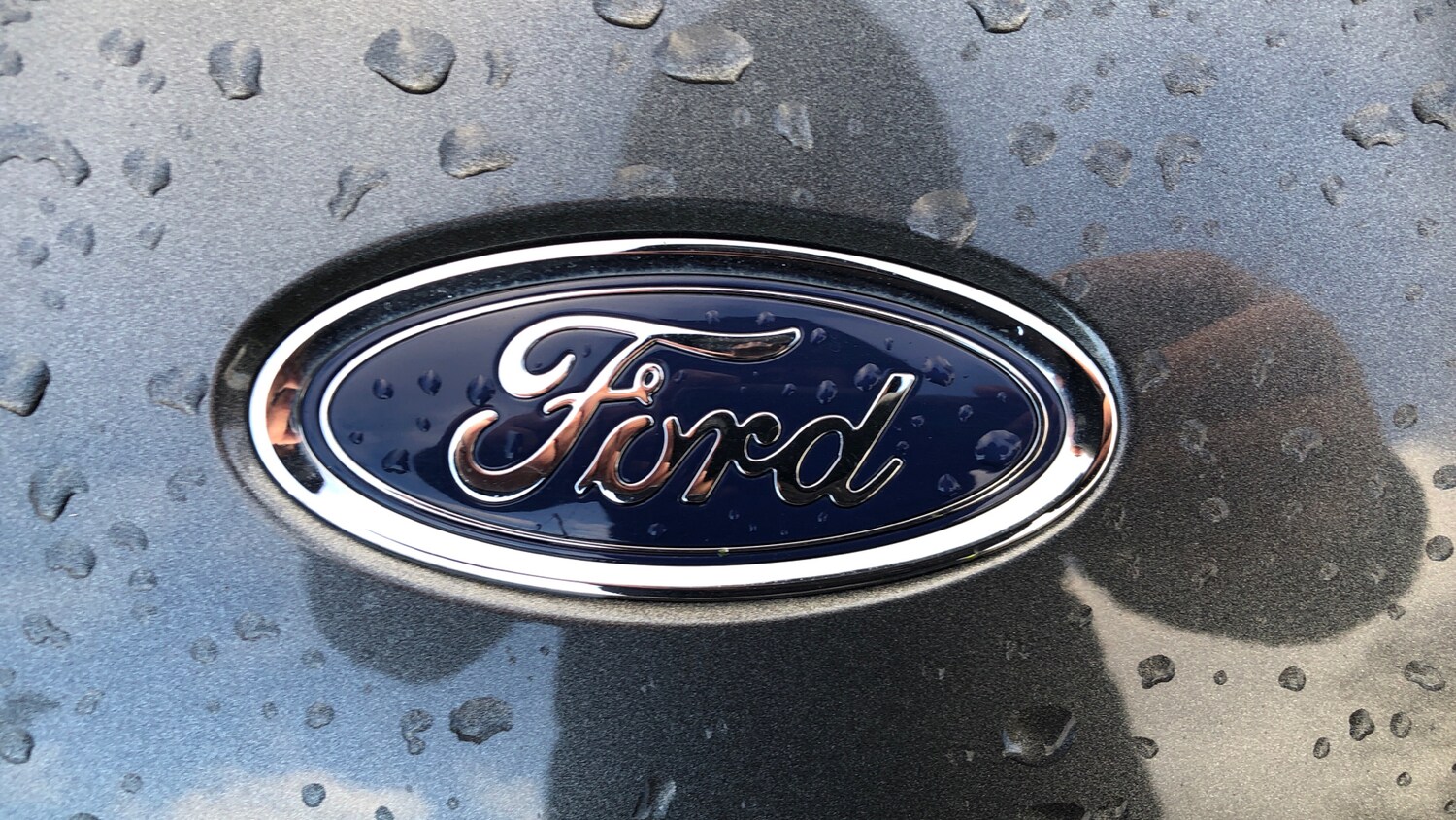 Used Ford Kuga 2024 for sale - 77009422: Photo 18