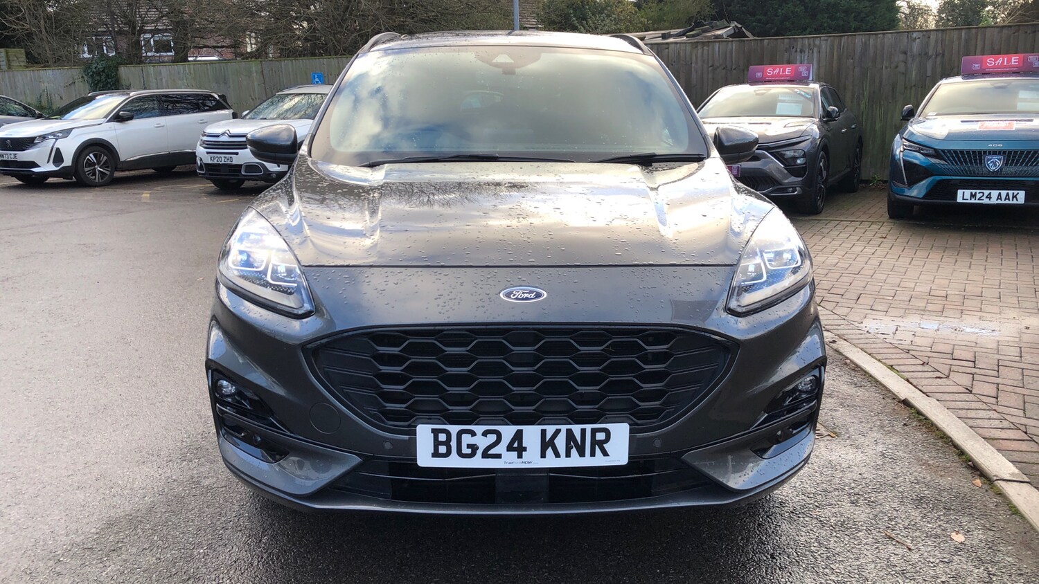 Used Ford Kuga 2024 for sale - 77009422: Photo 8