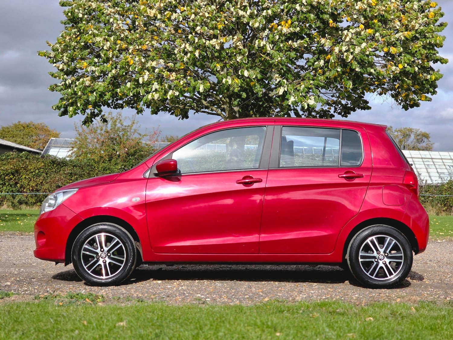 Used Suzuki Celerio 2015 for sale - 76990427: Photo 14