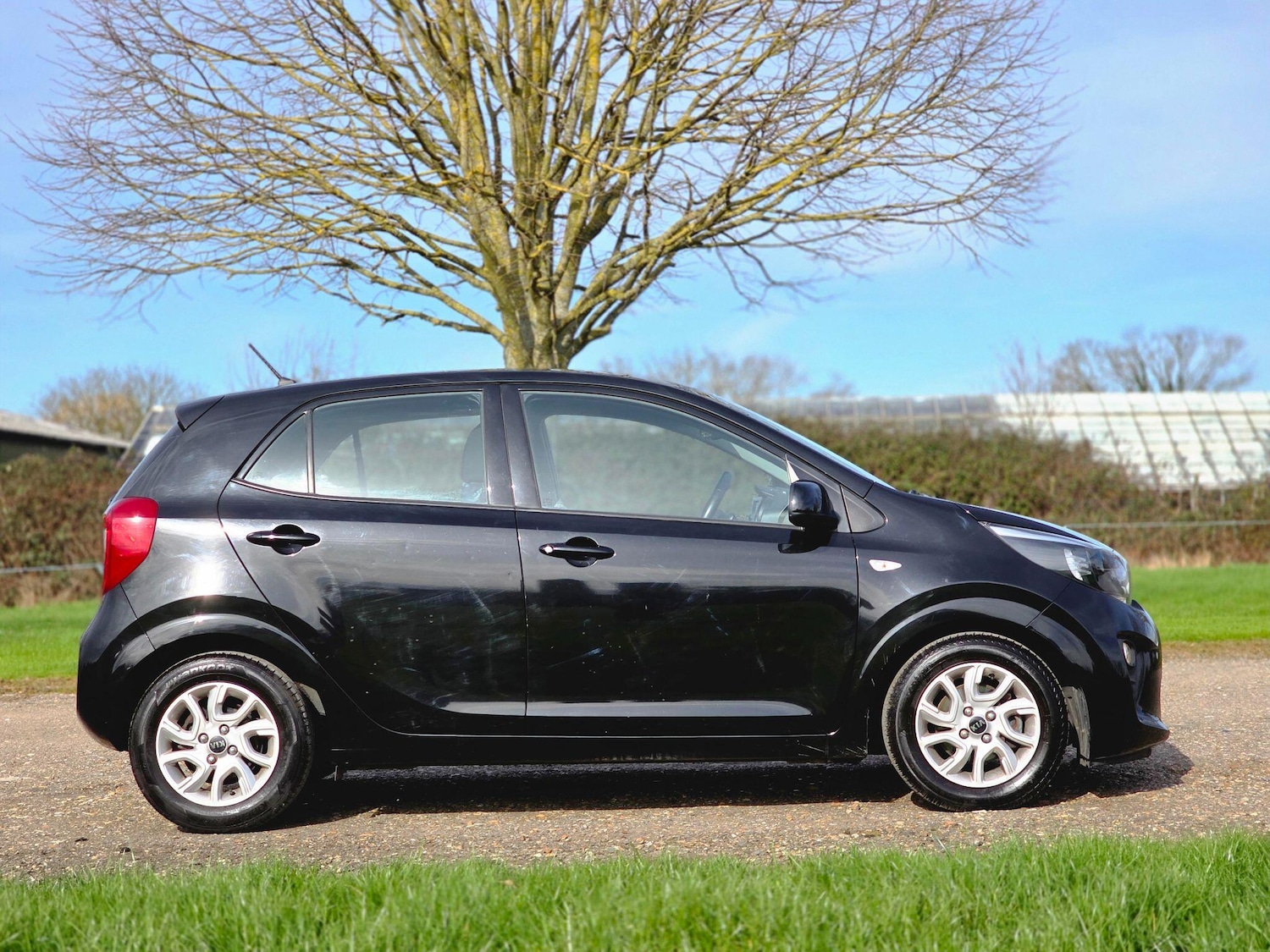 Used Kia Picanto 2018 for sale - 77892669: Photo 4