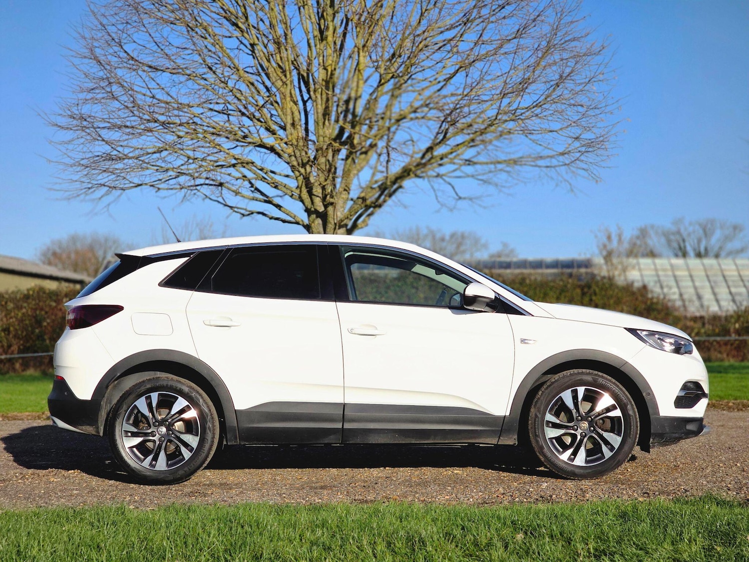 Used Vauxhall Grandland X 2020 for sale - 77230342: Photo 3