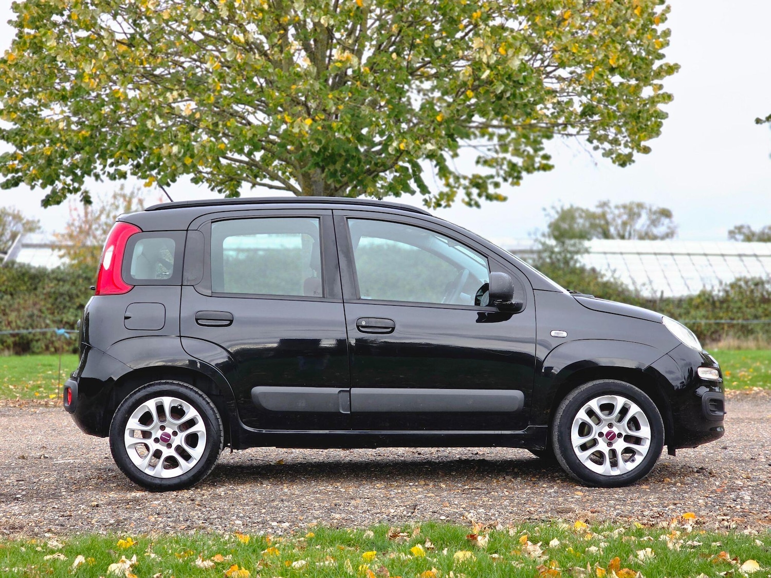 Used Fiat Panda 2014 for sale - 76380662: Photo 3