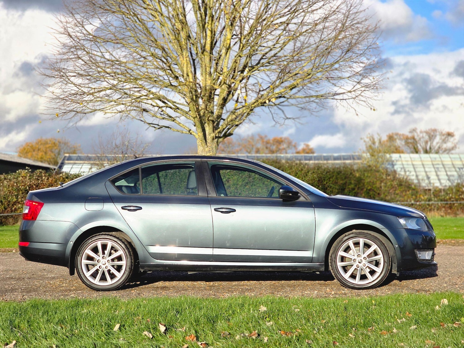Used Skoda Octavia 2015 for sale - 76802170: Photo 3