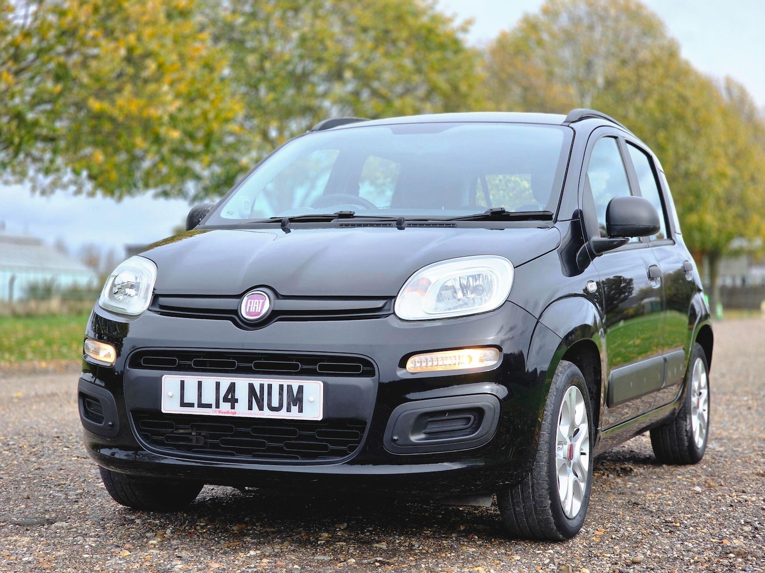 Used Fiat Panda for sale - 76992512: Photo 16