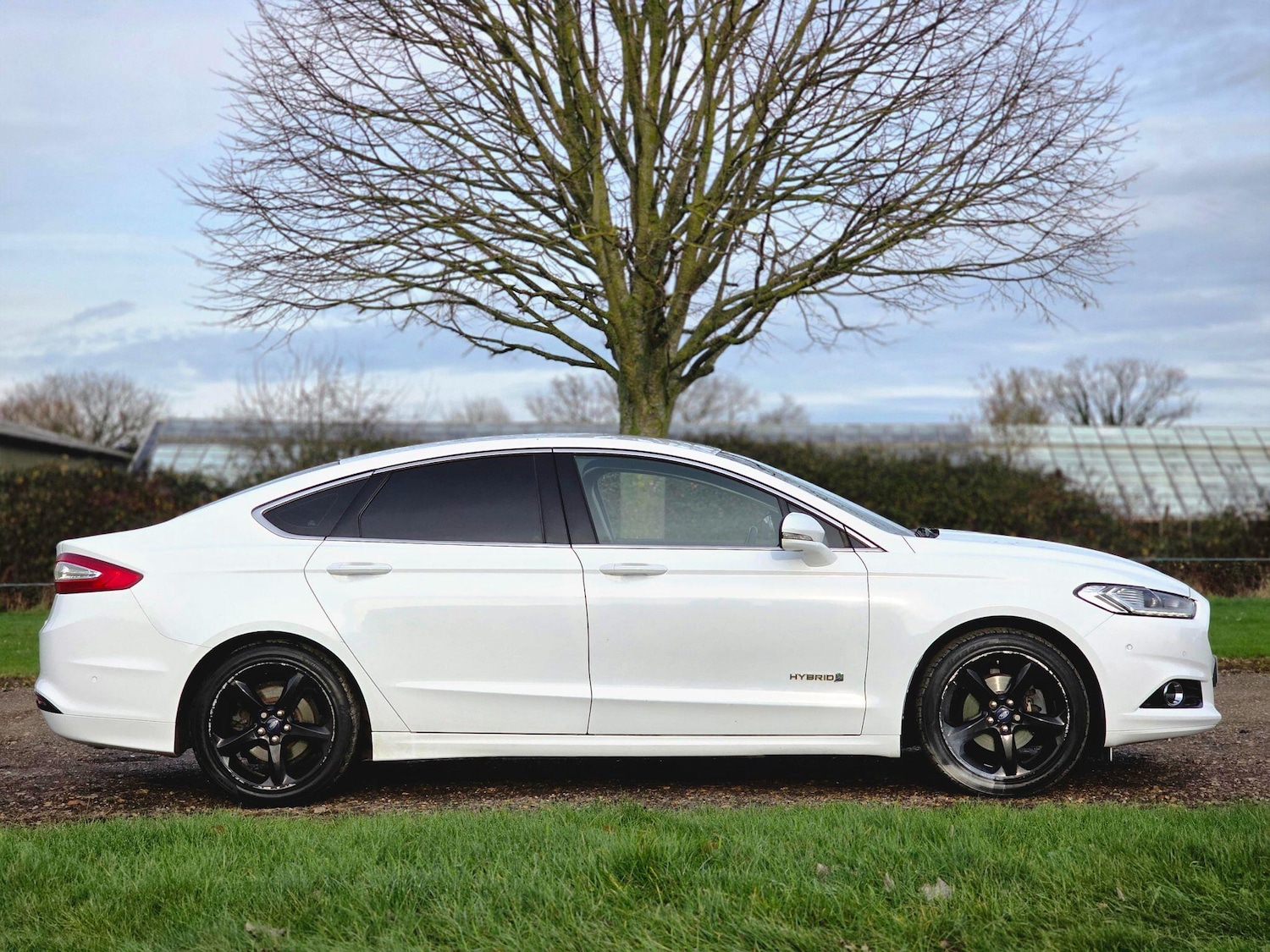 Used Ford Mondeo 2019 for sale - 77029366: Photo 3
