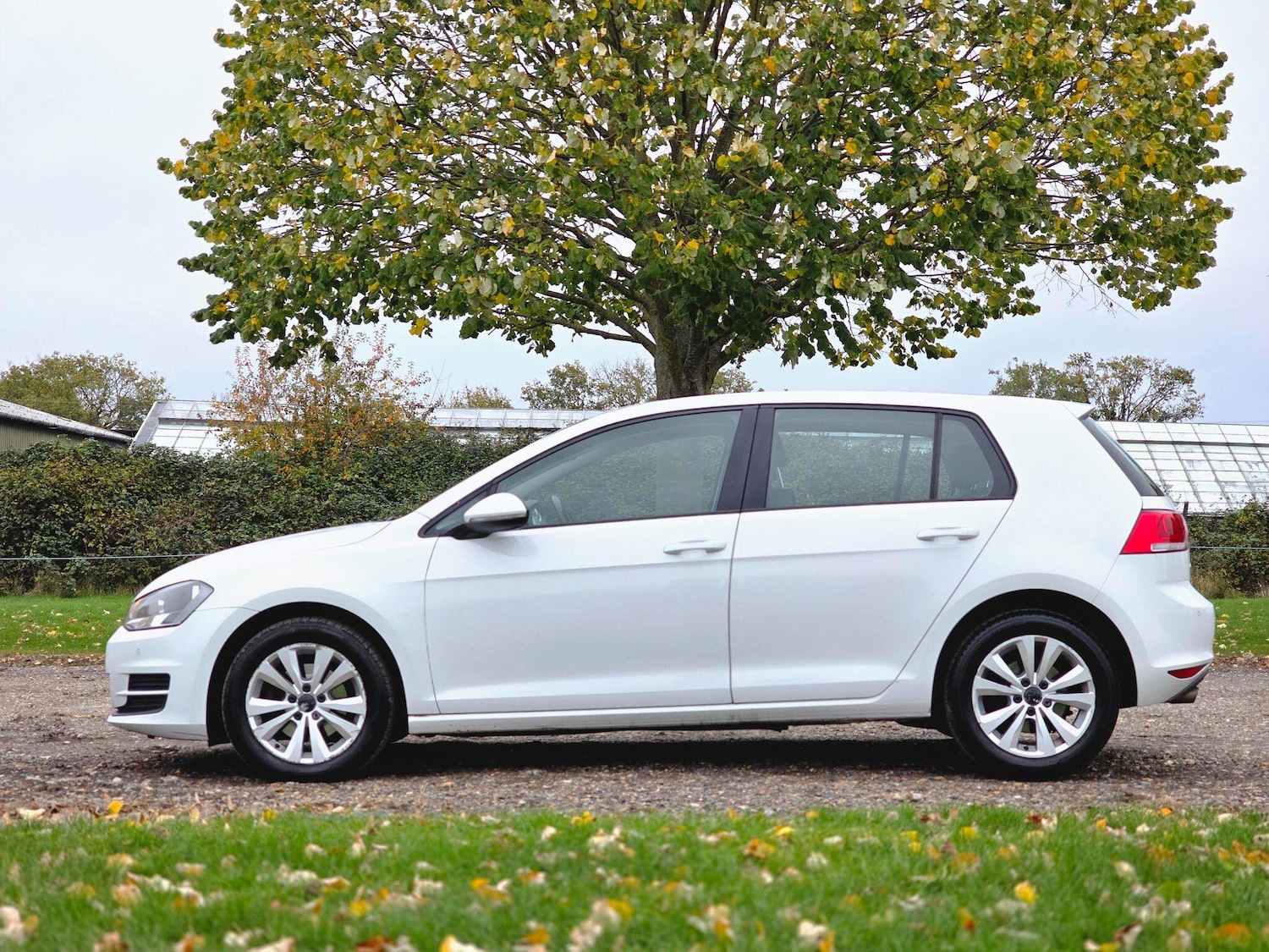 Used Volkswagen Golf 2014 for sale - 76380535: Photo 13
