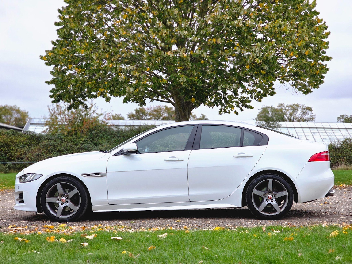 Used Jaguar XE 2017 for sale - 76632800: Photo 14