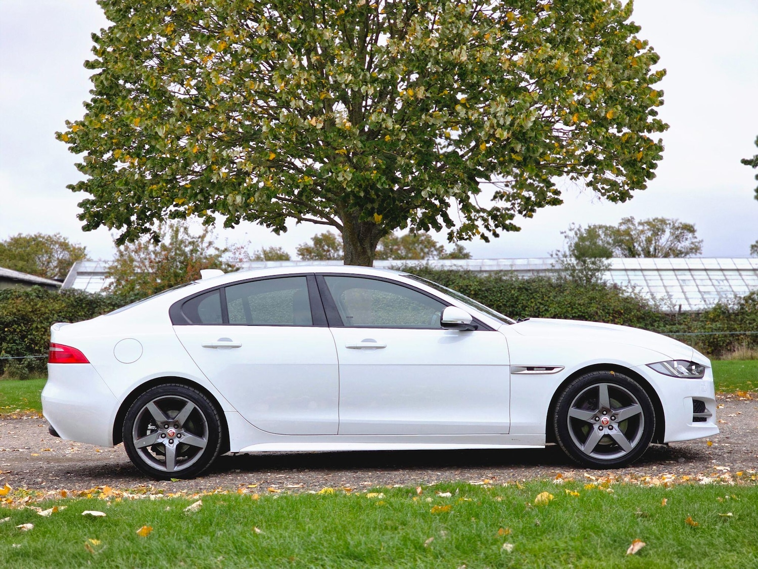 Used Jaguar XE 2017 for sale - 76632800: Photo 4