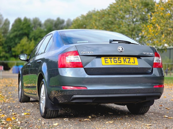 Used Skoda Octavia 2016 for sale - 76260516: Photo 11