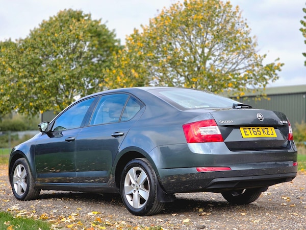 Used Skoda Octavia 2016 for sale - 76260516: Photo 12