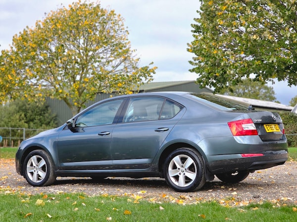 Used Skoda Octavia 2016 for sale - 76260516: Photo 13