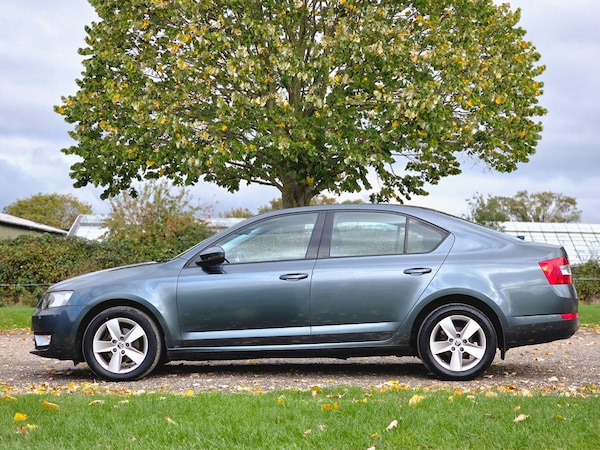 Used Skoda Octavia 2016 for sale - 76260516: Photo 14