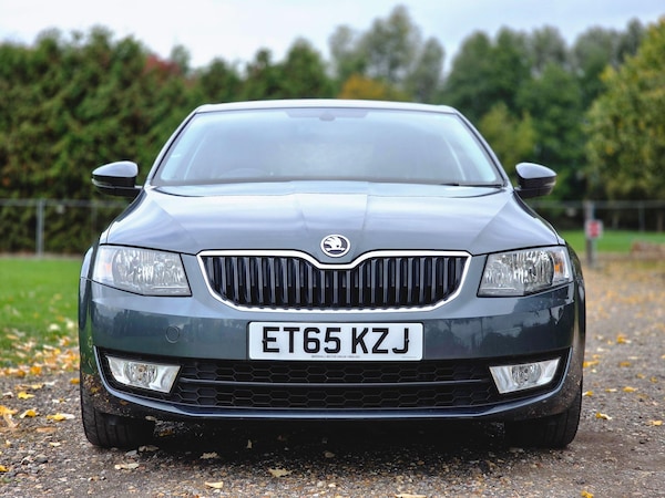 Used Skoda Octavia 2016 for sale - 76260516: Photo 18