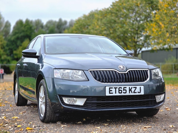 Used Skoda Octavia 2016 for sale - 76260516: Photo 19