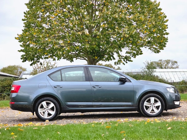 Used Skoda Octavia 2016 for sale - 76260516: Photo 4