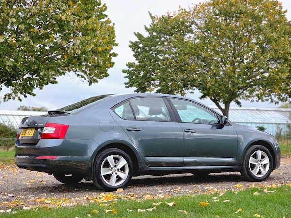 Used Skoda Octavia 2016 for sale - 76260516: Photo 6