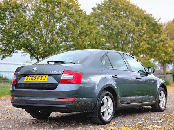 Used Skoda Octavia 2016 for sale - 76260516: Photo 7