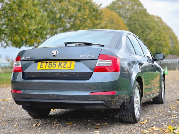 Used Skoda Octavia 2016 for sale - 76260516: Photo 8