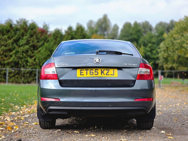 Used Skoda Octavia 2016 for sale - 76260516: Photo 9