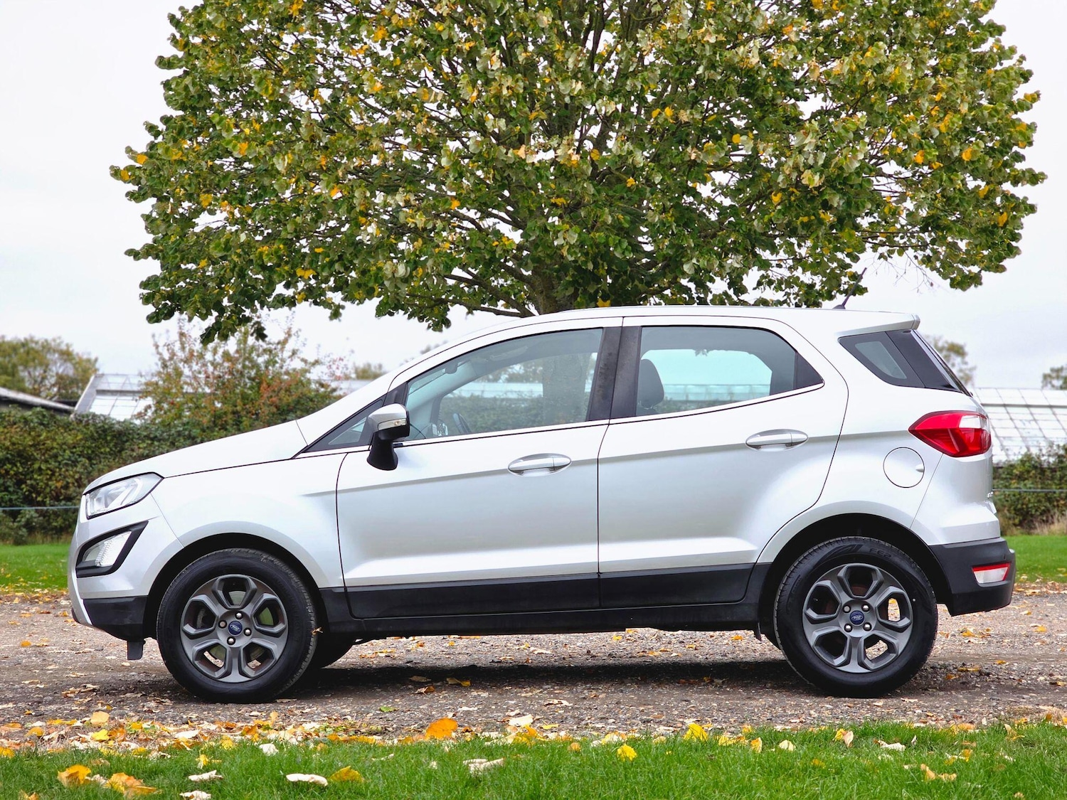 Used Ford Ecosport 2018 for sale - 76926939: Photo 14