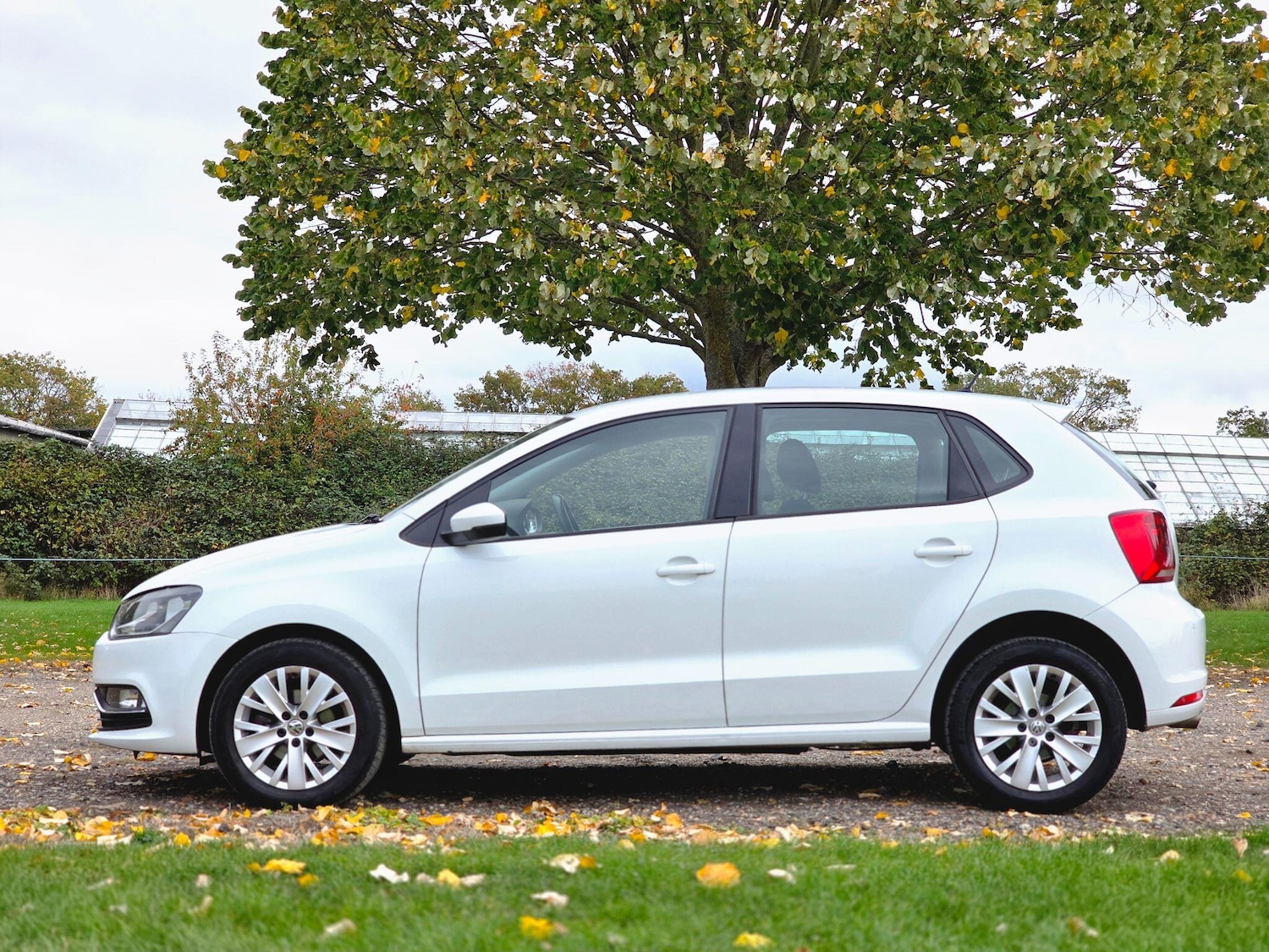 Used Volkswagen Polo for sale - 76865128: Photo 14