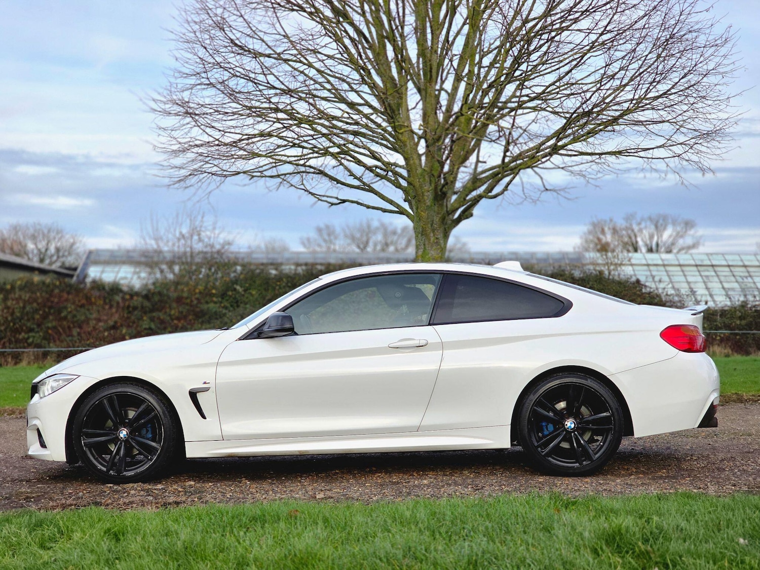 Used BMW 4 Series 2014 for sale - 76989963: Photo 13