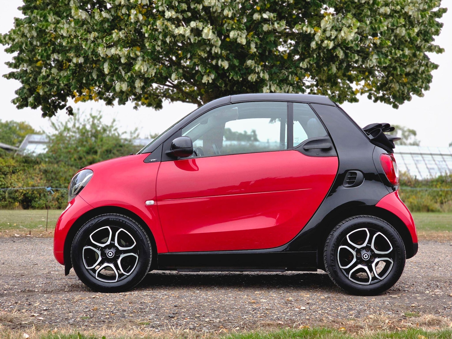 Used smart fortwo for sale - 77705366: Photo 14