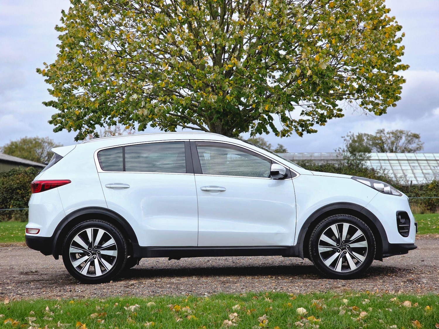 Used Kia Sportage 2017 for sale - 76388610: Photo 3